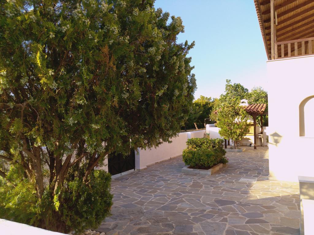 Explore Aegina Island Souvala Esterno foto